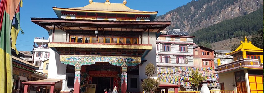 manali tour packages, manali honeymoon packages, manali taxi service