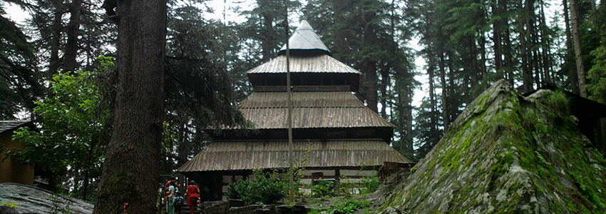 manali tour packages, manali honeymoon packages, manali taxi service