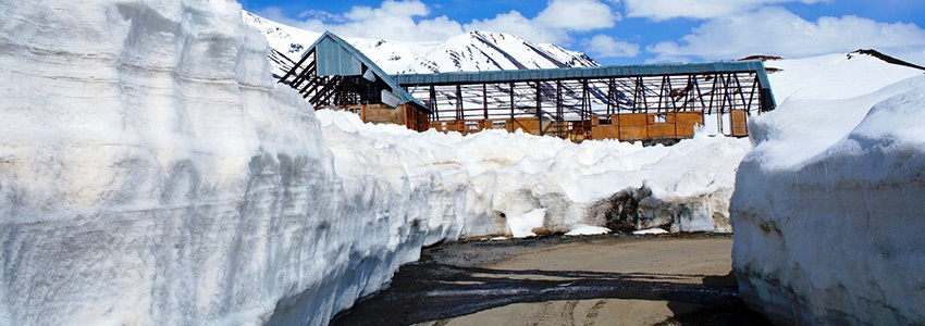 manali tour packages, manali honeymoon packages, manali taxi service