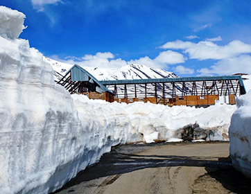 Manali Rohtang Taxi